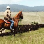 Estações históricas de gado de Cobungra e Rewan vendidas em um gigantesco negócio de fazenda