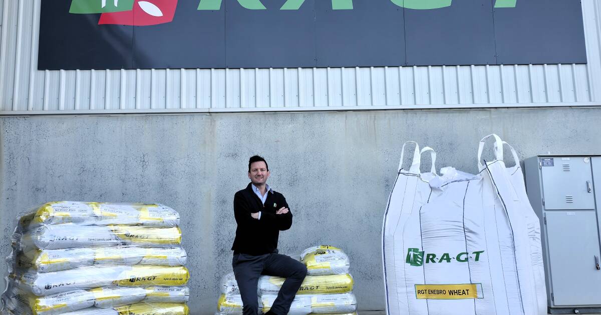 Financiamento para produtos de proteção de cultivos reacende esperança de seguro contra riscos agrícolas