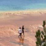 Duas mulheres no Parque Nacional de Yellowstone estão sendo ridicularizadas por caminhar perigosamente perto da fonte termal Grand Prismatic por volta das 19h de domingo.