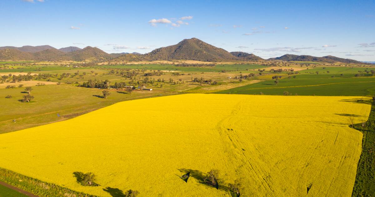 GrainCorp defende argumento 'convincente' para impulso no setor australiano de biocombustíveis