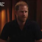 Harry disse que sua ocupação é ‘pai em tempo integral, veterano do exército britânico, Príncipe da Inglaterra’
