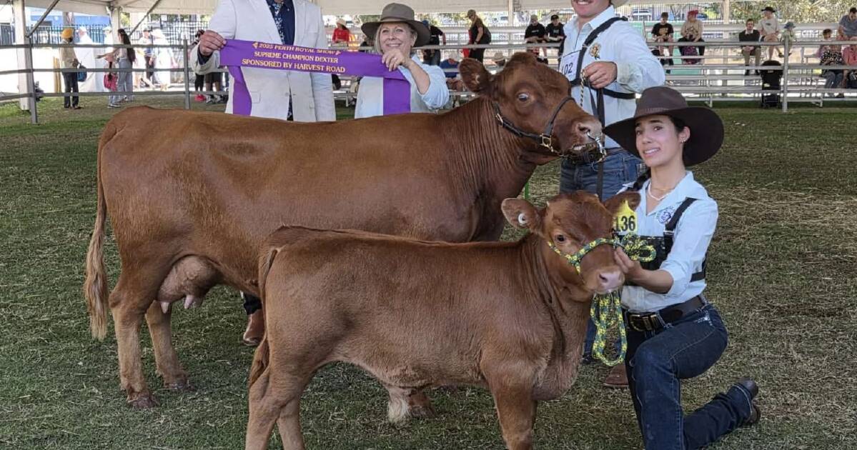 Jovens de WA competirão no cenário nacional em eventos de julgamento e desfile agrícola