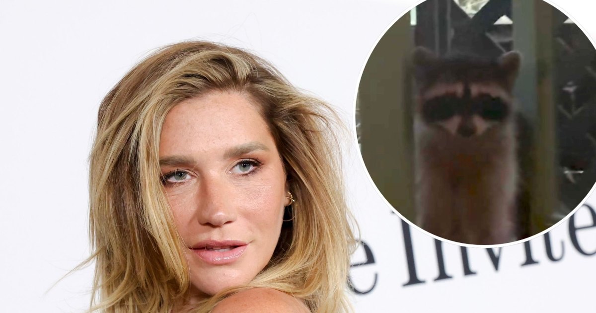Kesha proclama que está 'muito orgulhosa do meu corpo' após críticas online: 'Ela passou por muita coisa'