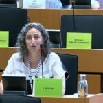 A eurodeputada de Dublin, Lynn Boylan, discursava numa comissão dos Negócios Estrangeiros da UE quando se viu numa confusão sobre o uso da língua irlandesa, dizendo como era “infeliz” que ela não pudesse ser usada