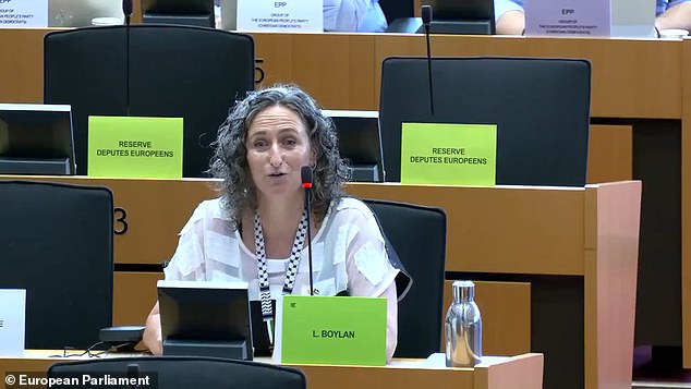 A eurodeputada de Dublin, Lynn Boylan, discursava numa comissão dos Negócios Estrangeiros da UE quando se viu numa confusão sobre o uso da língua irlandesa, dizendo como era “infeliz” que ela não pudesse ser usada