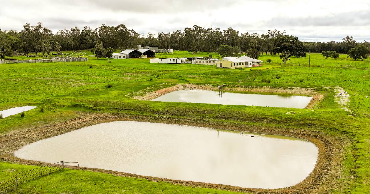 Muitas mãos realizam trabalhos leves na exploração agrícola regenerativa em Wilga
