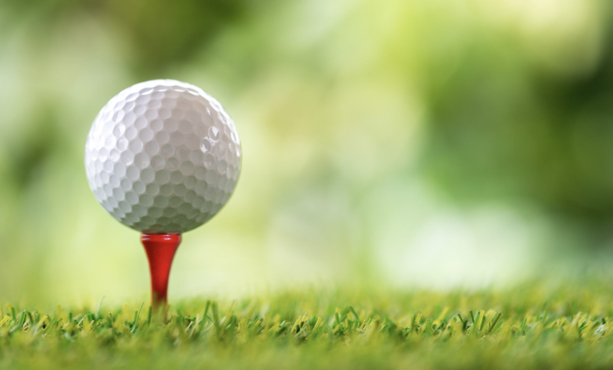A Associação Nacional de Golfe das Filipinas (NGAP) aumentará suas taxas para o sistema de handicap, não para aumentar a renda, mas basicamente para tornar todos os jogadores de golfe do país uma parte interessada