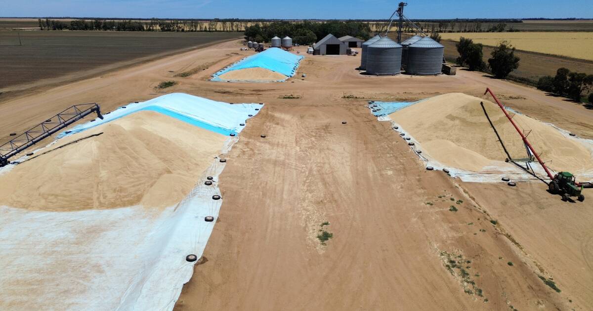 Novo player em WA oferece aos produtores mais opções de armazenamento e fumigação na fazenda
