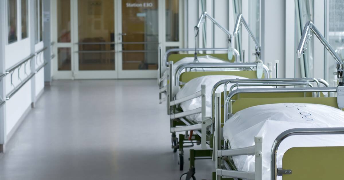 Novos dados revelam que a força de trabalho médica rural de WA atinge o maior número já registrado