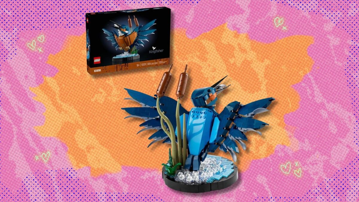 O Lego Icons Kingfisher Bird está se aposentando em breve – aja rápido para comprar pelo novo preço baixo de US $ 33,99 na Amazon