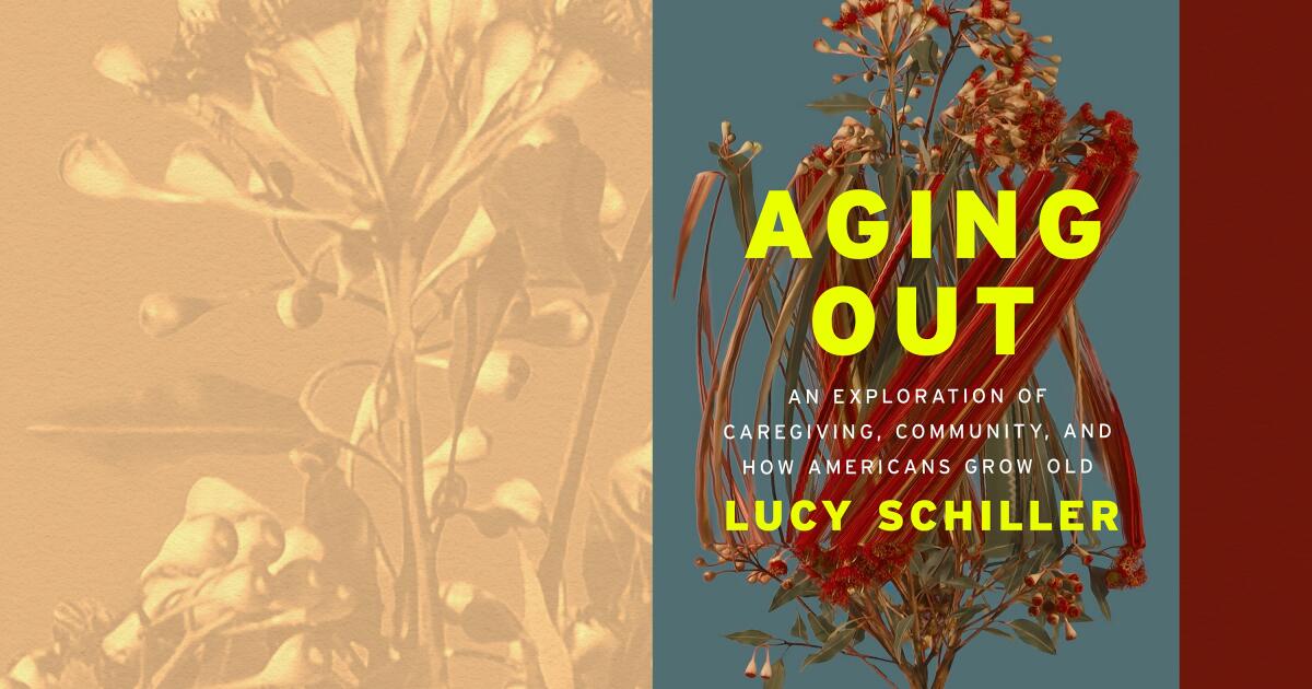 O Medicare é uma merda. Cuidar é difícil. Pena que a dor do envelhecimento pareça uma notícia velha em um novo livro de memórias