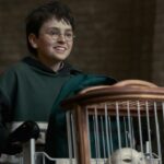 O diretor de fotografia de 'Harry Potter' da HBO diz que é 'brutal' trabalhar em torno dos rígidos cronogramas de filmagem das jovens estrelas: 'É preciso pré-filmar todas as cenas enquanto elas estão na aula'