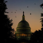 Os pássaros voam entre as árvores enquanto o sol se põe perto do Capitólio dos EUA em Washington, DC, 13 de julho de 2026.