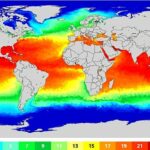 O especialista alertou que este ano o evento El Niño poderá quebrar recordes de força. O fenômeno climático é caracterizado por águas mais quentes no Pacífico equatorial. Na foto: temperaturas atuais do mar em todo o mundo