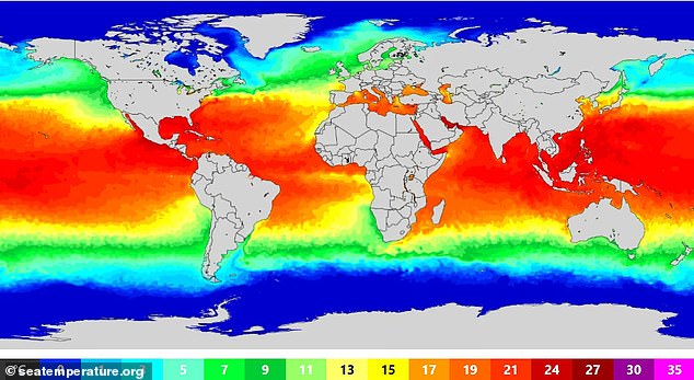O especialista alertou que este ano o evento El Niño poderá quebrar recordes de força. O fenômeno climático é caracterizado por águas mais quentes no Pacífico equatorial. Na foto: temperaturas atuais do mar em todo o mundo