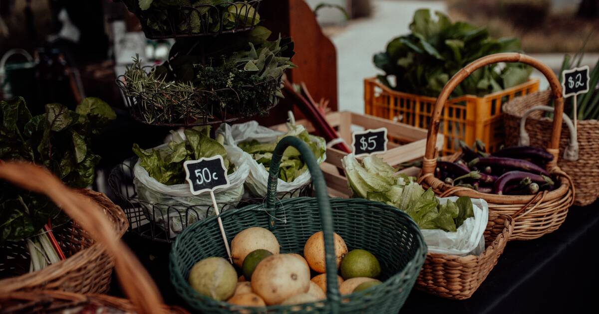 O mercado de novos produtores atinge a marca certa para produtores e clientes em Collie