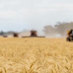Os preços globais dos grãos disparam, mas os produtores australianos continuaram esperando pelos benefícios