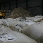 Perspectivas positivas com a queda do mercado de lã para a primeira venda da temporada