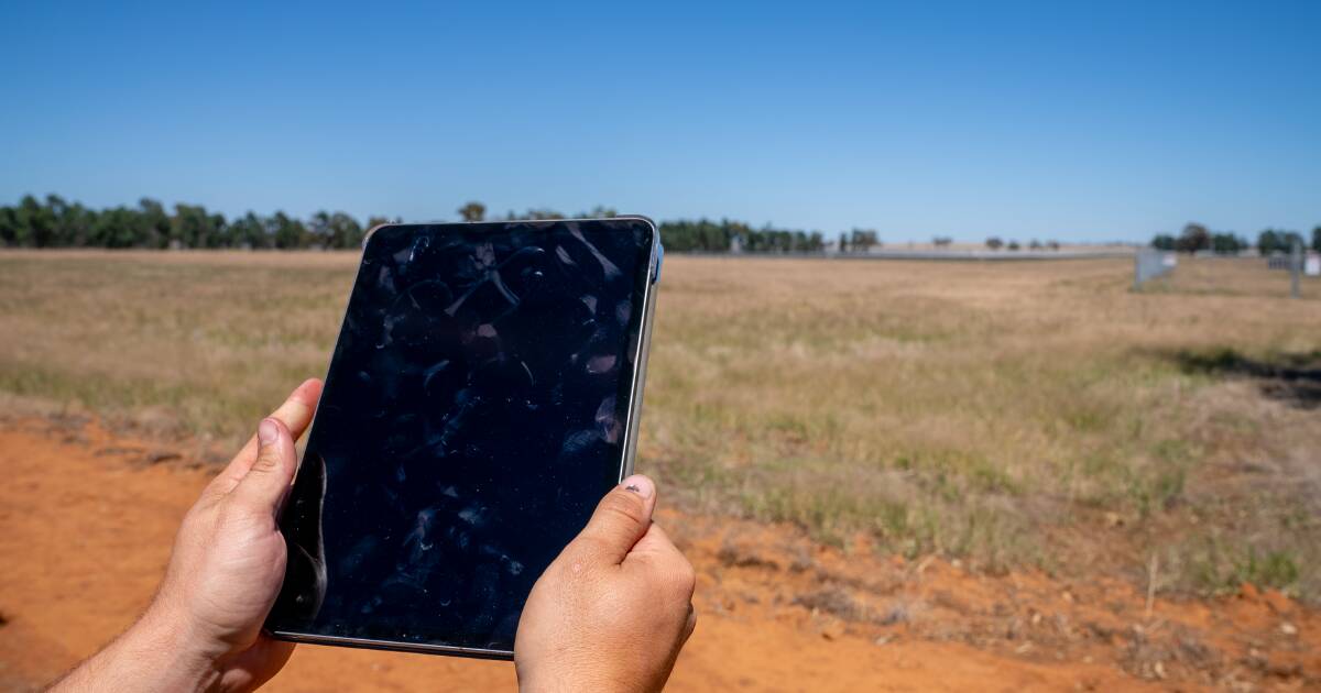 Por que o maior risco de IA para os agricultores está no escritório e não no paddock