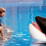 Reinicialização de 'Free Willy' em andamento na Warner Bros.
