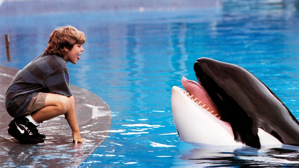 Reinicialização de 'Free Willy' em andamento na Warner Bros.