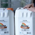 Risco de câncer Roundup rejeitado: Suprema Corte dos EUA reprime onda de litígios