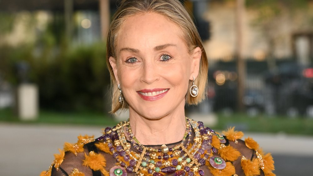 Sharon Stone sobre abandonar a maconha e interromper um medicamento para derrame, apesar das ordens dos médicos: 'Foi como parar de usar heroína'