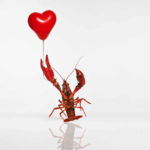 Sim, estamos usando o OpenClaw até agora