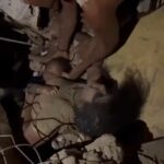 Sobreviventes e corpos ainda sendo retirados dos escombros dias após terremotos gêmeos