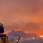 Sul de Espanha atingido por incêndios florestais recorde; vários mortos, muitos desaparecidos