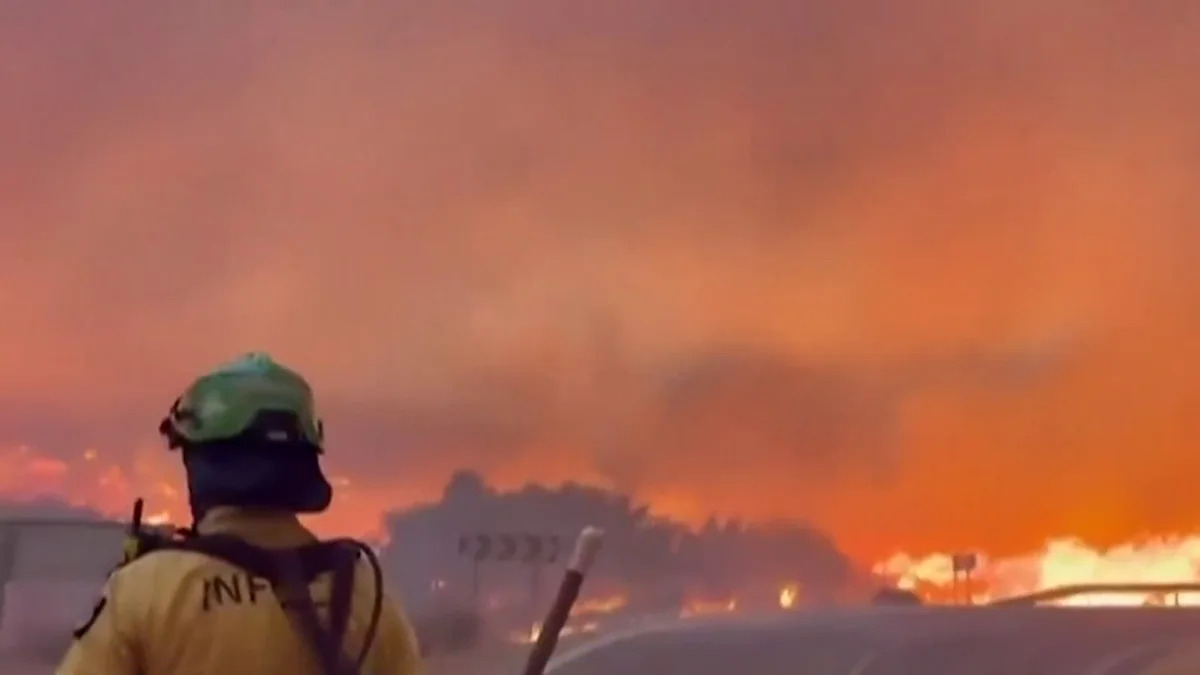 Sul de Espanha atingido por incêndios florestais recorde; vários mortos, muitos desaparecidos