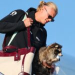 O atacante norueguês Erling Haaland carrega um guaxinim taxidermizado ao sair do avião depois que a seleção norueguesa de futebol pousou no aeroporto Gardermoen, em Oslo, em 13 de julho de 2026.