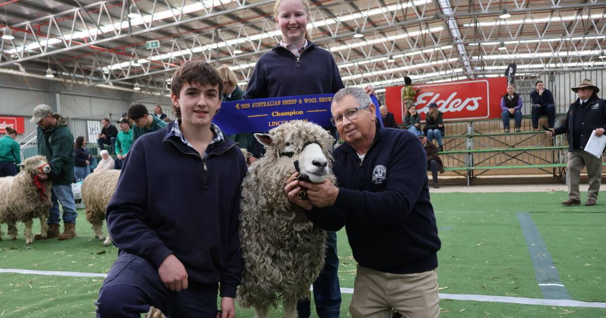 Todos os principais vencedores de fitas do Australian Sheep & Wool Show de 2026