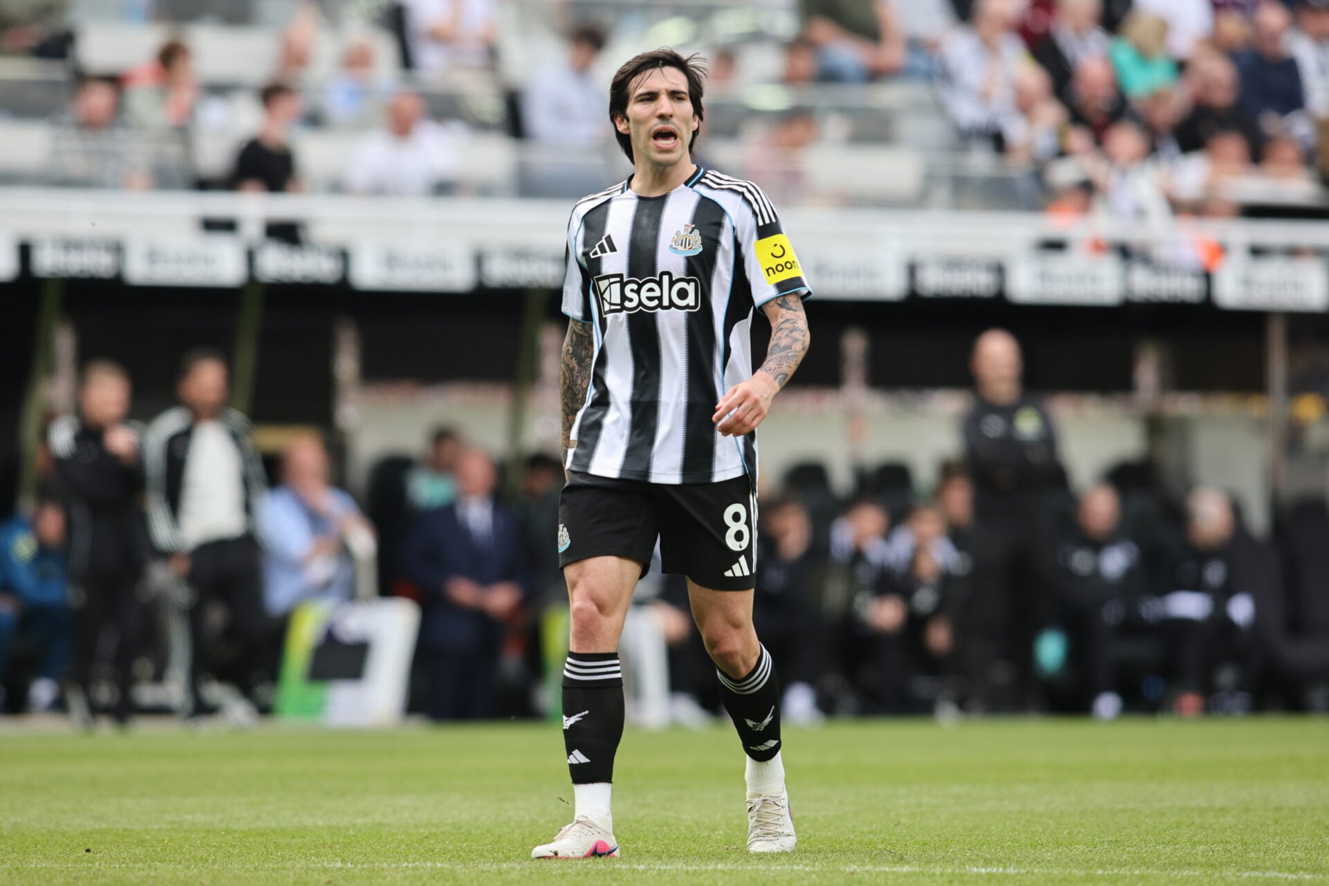 Três razões pelas quais acho que os fãs do Man Utd não deveriam ficar desapontados com a transferência de £ 100 milhões de Sandro Tonali para o Tottenham