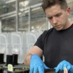 Uma melhor compreensão dos fungos pode ajudar a reduzir a fertilidade dos agricultores australianos e as contas de pulverização
