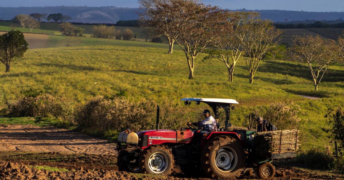 ‘Práticas injustas, desmatamento’: EUA impõem tarifa de 25% sobre importações brasileiras